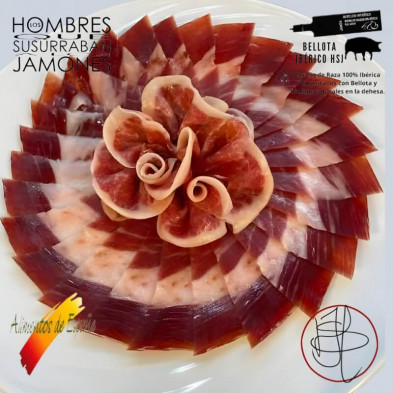 Cortador de Jamón Premium